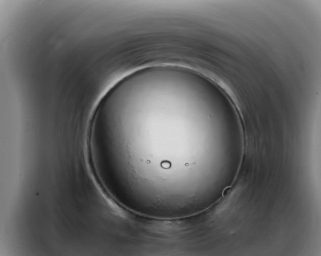 X0000088151533200705211146