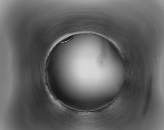 X0000088151534200705211146