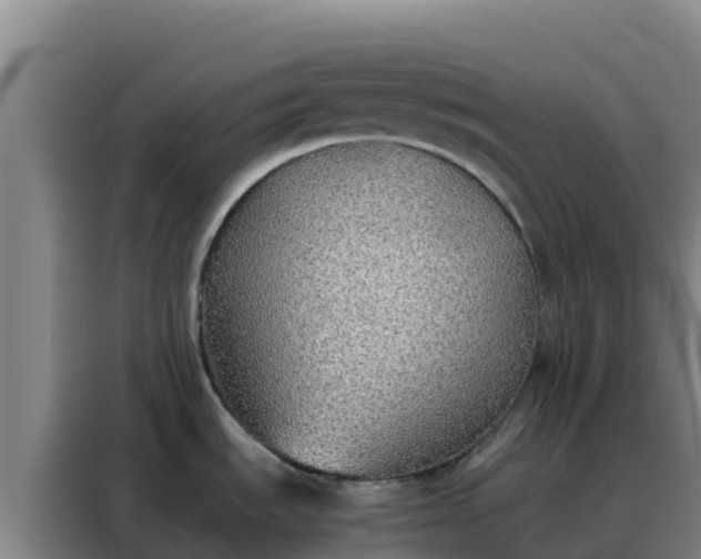 X0000088151535200705211146