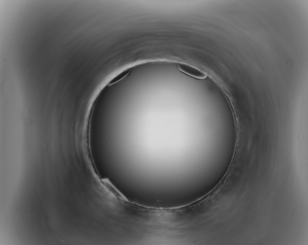 X0000088151536200705211146