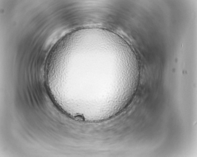 X0000088150002200705291434