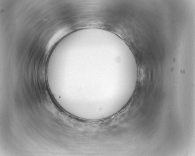 X0000088150004200705291434