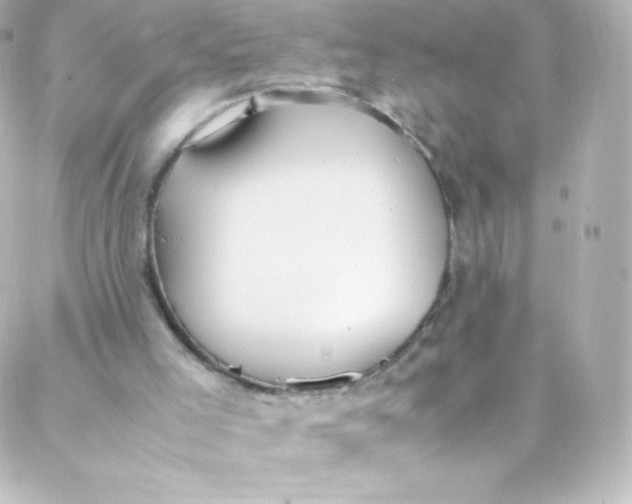 X0000088150005200705291434