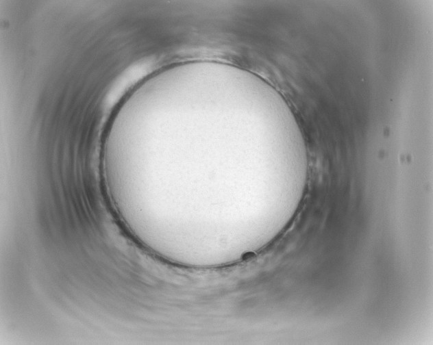 X0000088150006200705291434