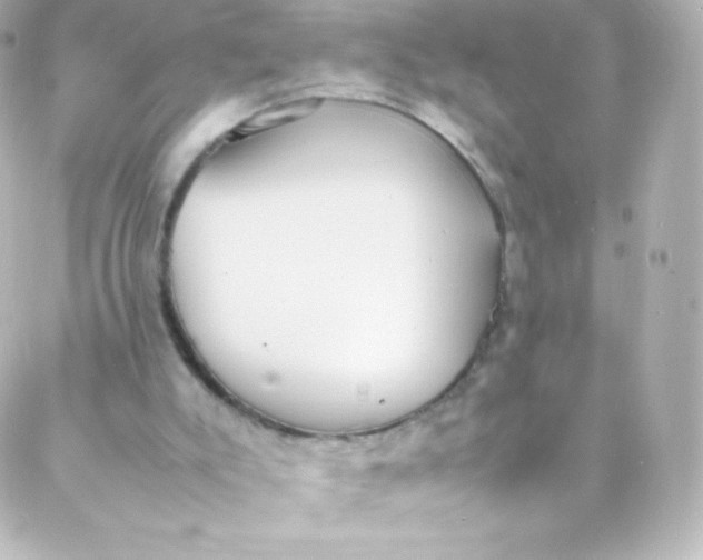 X0000088150007200705291434