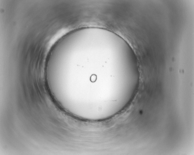 X0000088150008200705291434