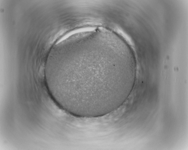 X0000088150009200705291434