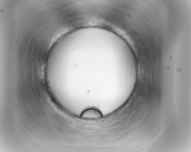 X0000088150010200705291434