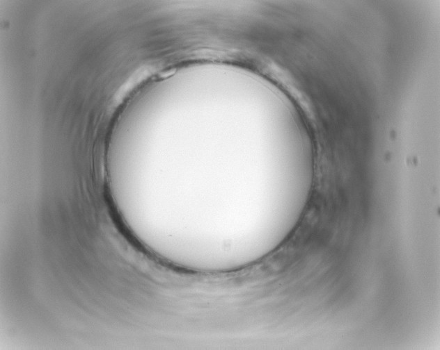 X0000088150011200705291434