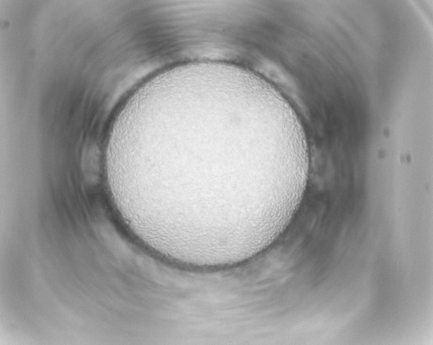 X0000088150012200705291434