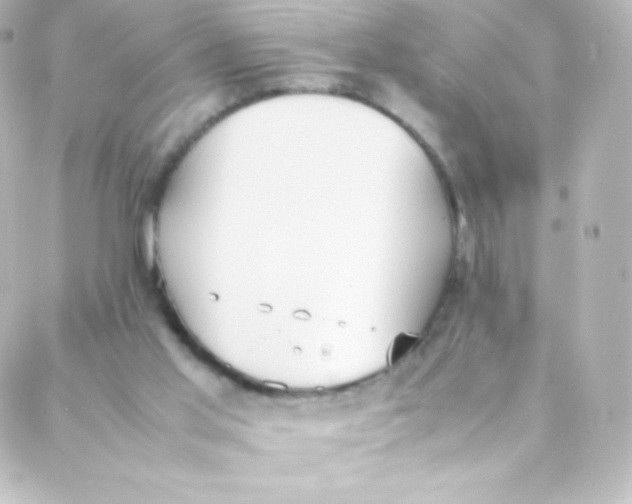 X0000088150013200705291434