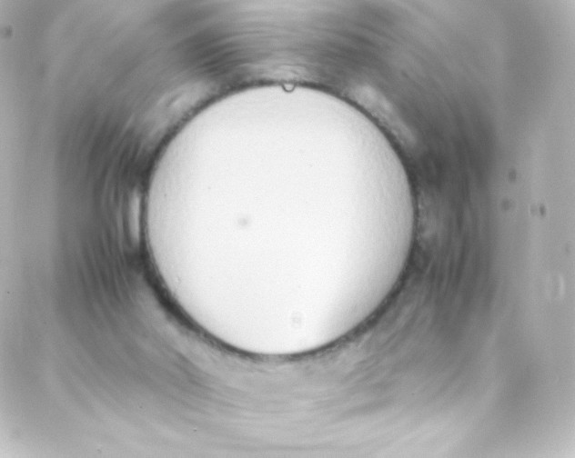 X0000088150014200705291434