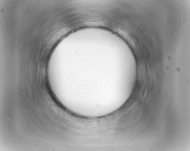 X0000088150015200705291434