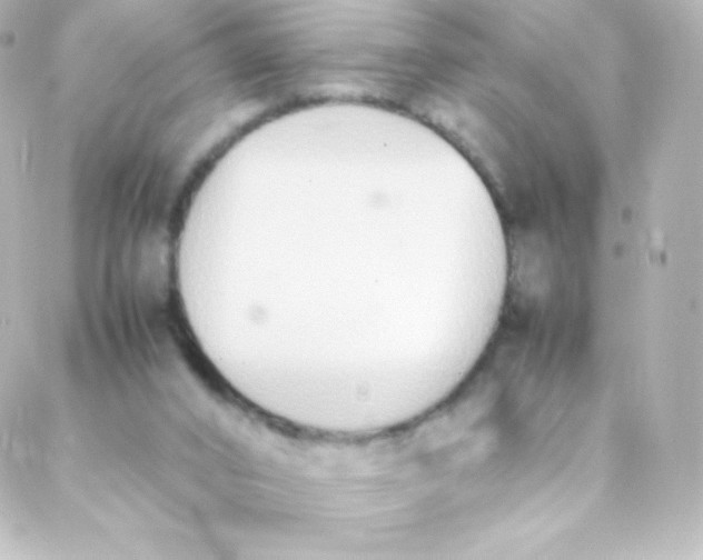 X0000088150016200705291434