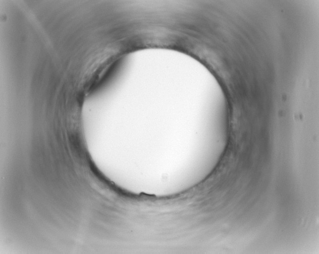 X0000088150017200705291434