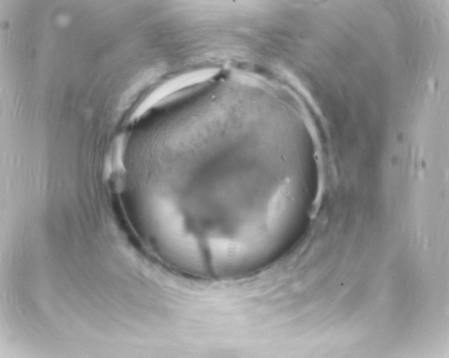 X0000088150019200705291434