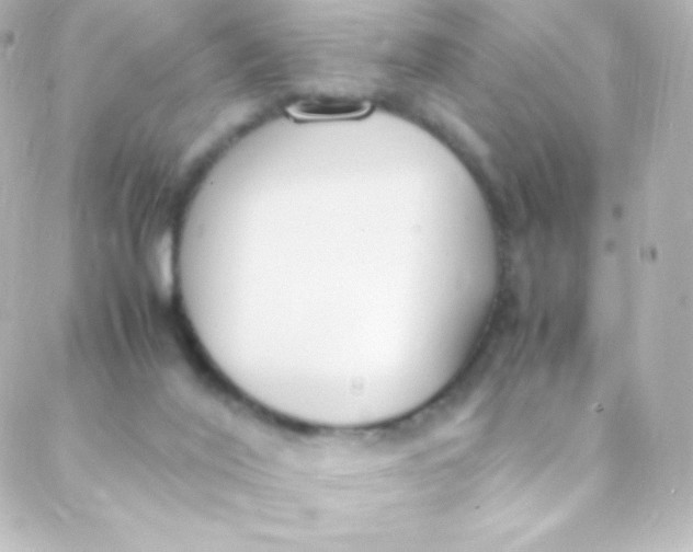 X0000088150020200705291434