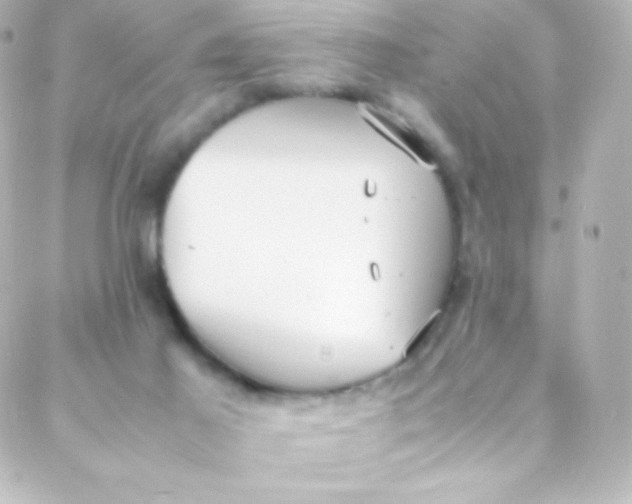 X0000088150021200705291434