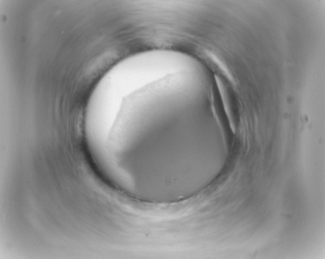 X0000088150023200705291434