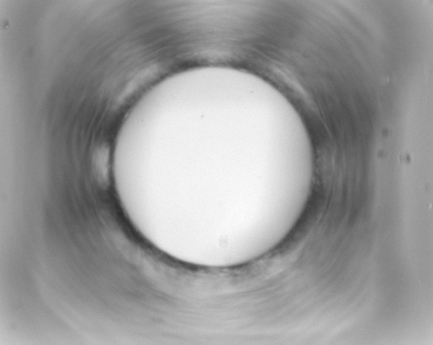 X0000088150024200705291434