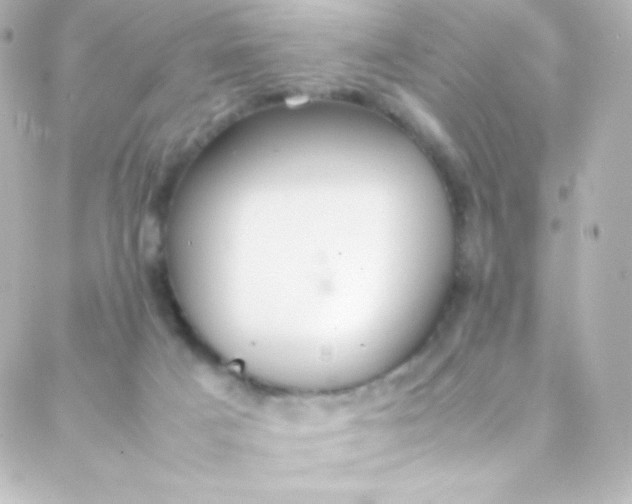 X0000088150025200705291434