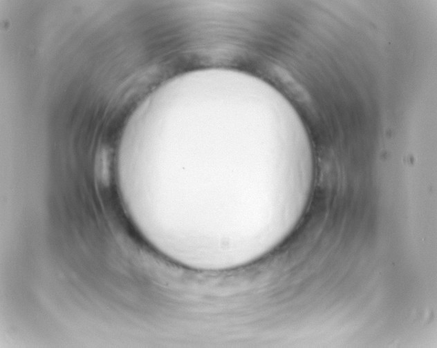 X0000088150026200705291434