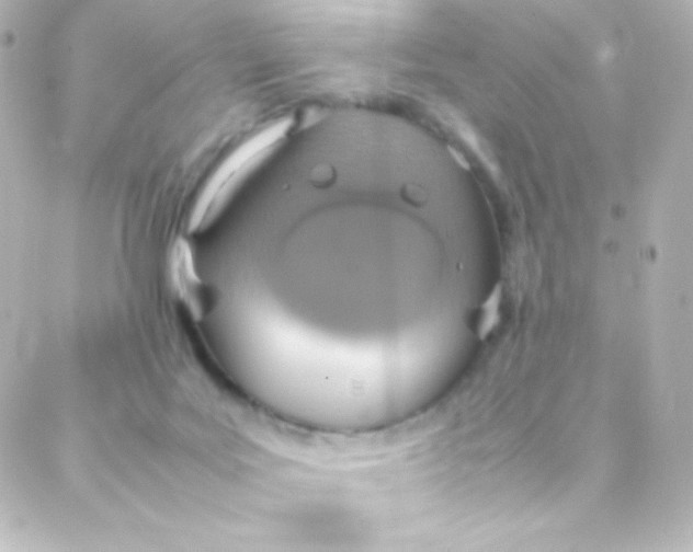 X0000088150027200705291434