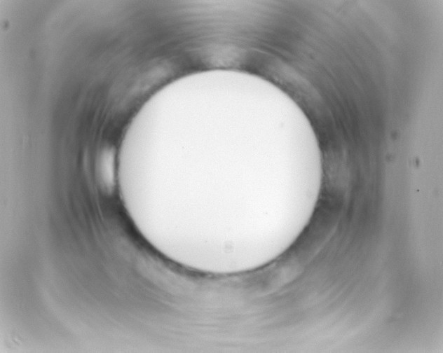 X0000088150028200705291434