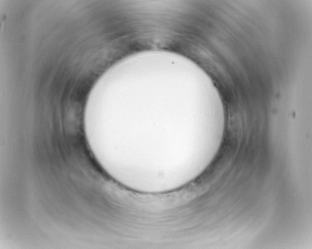 X0000088150030200705291434