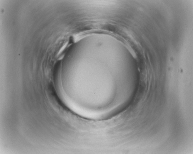 X0000088150031200705291434