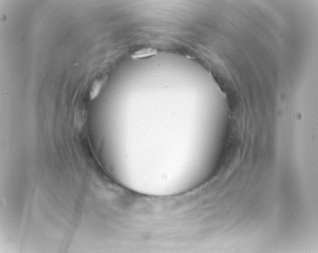 X0000088150033200705291434