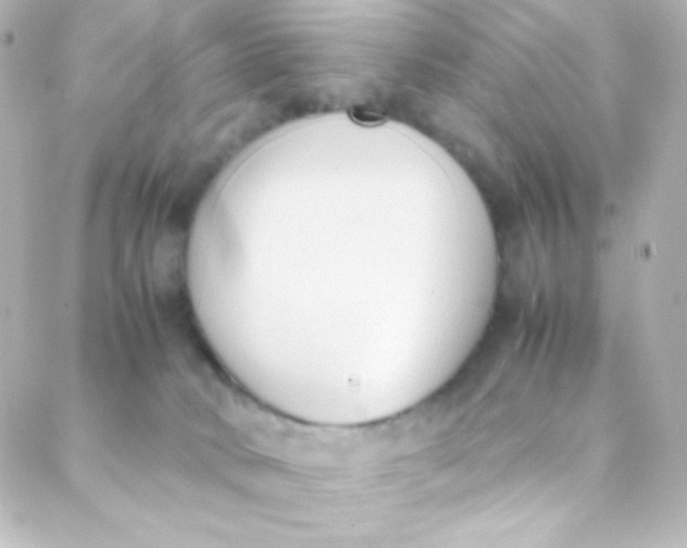 X0000088150034200705291434