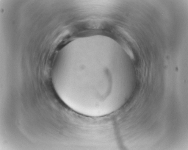 X0000088150035200705291434