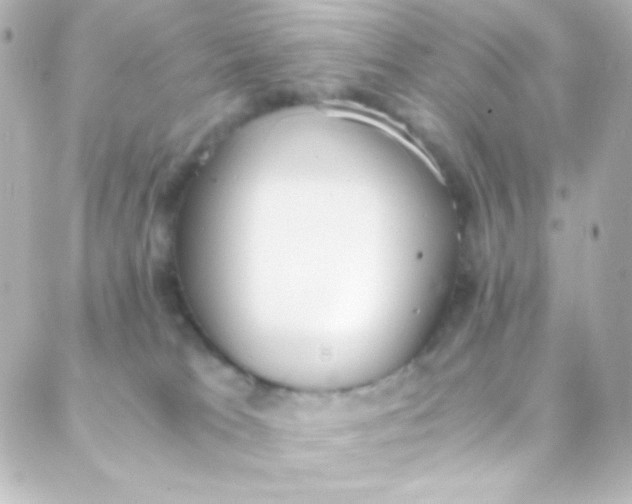 X0000088150037200705291434