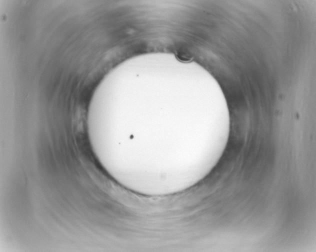 X0000088150038200705291434