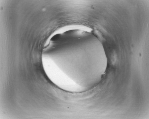 X0000088150039200705291434