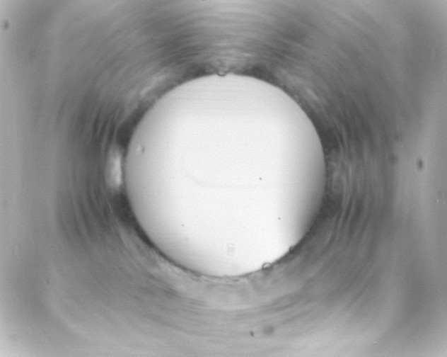 X0000088150042200705291434