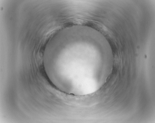 X0000088150043200705291434