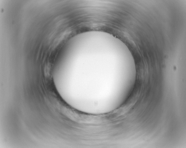 X0000088150044200705291433