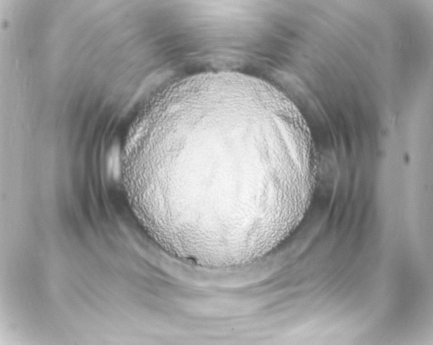 X0000088150046200705291433