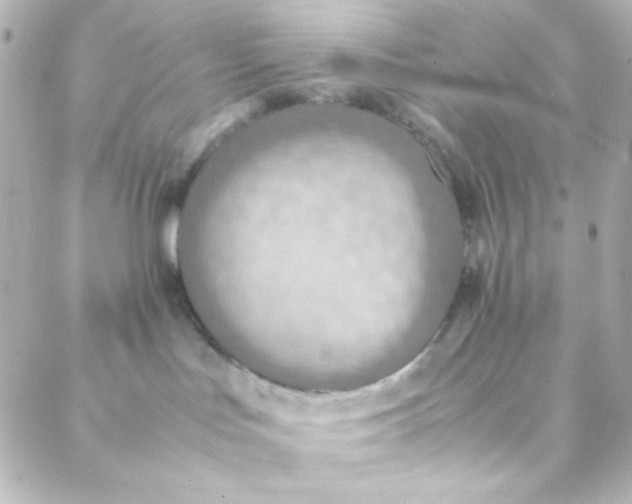 X0000088150047200705291433