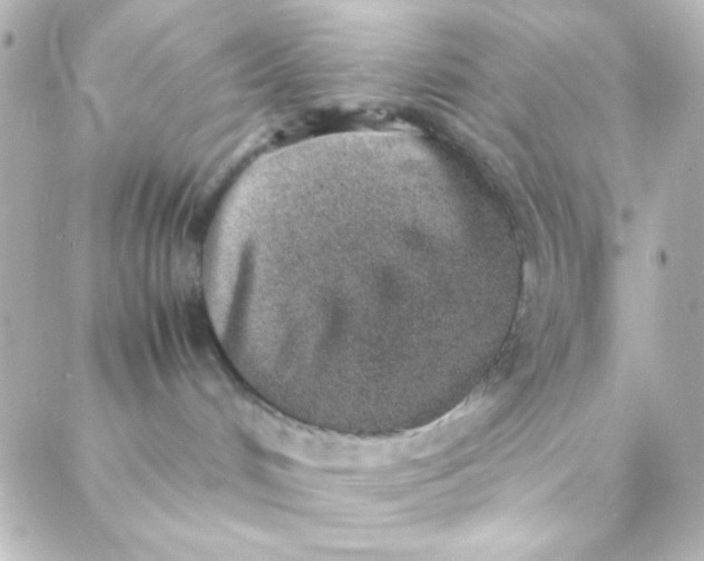 X0000088150048200705291433