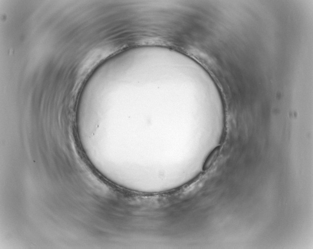 X0000088150049200705291433