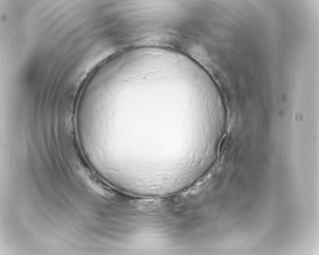 X0000088150050200705291433