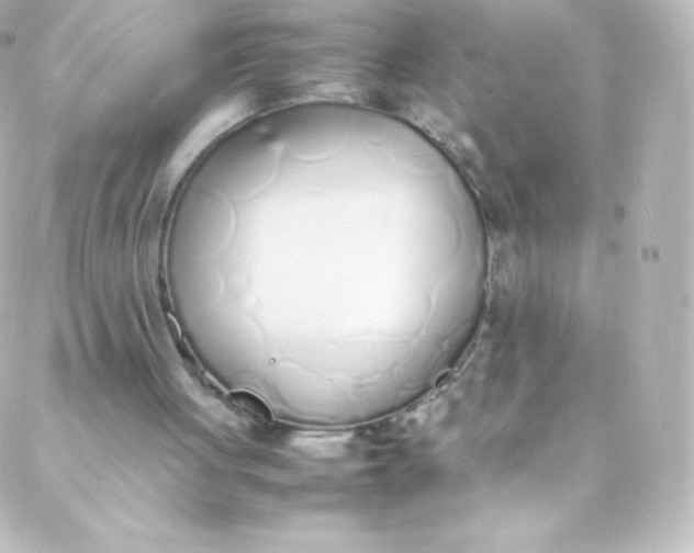 X0000088150051200705291433