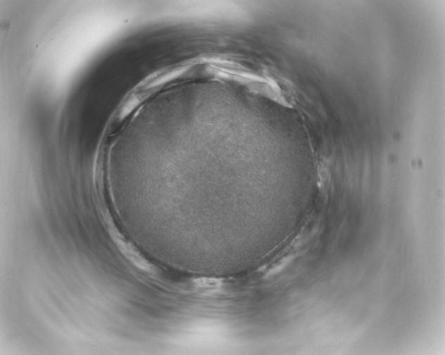 X0000088150052200705291433