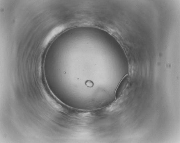 X0000088150054200705291433