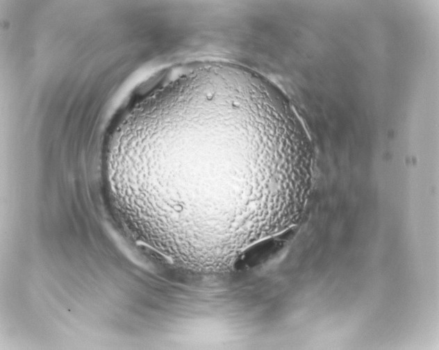 X0000088150056200705291433