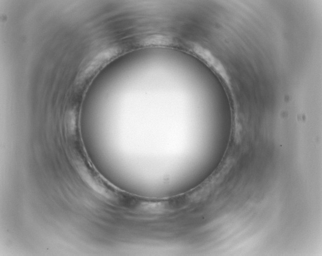 X0000088150057200705291433