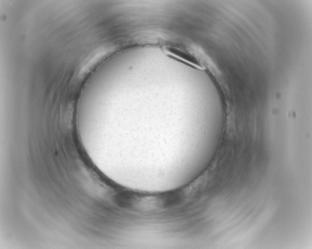 X0000088150058200705291433